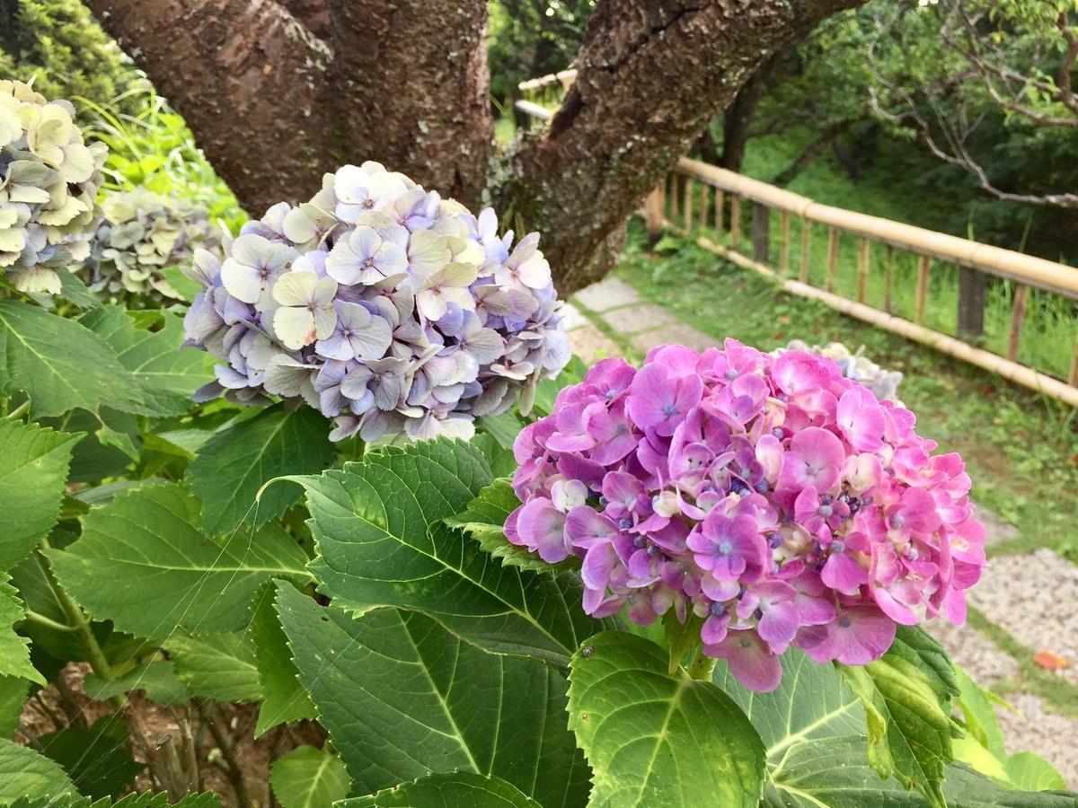 Ohito Hotel Izunokuni Bagian luar foto